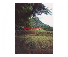 8.69 Acres Agriculture Land for sale near Amaravathi Dam - Udumalapet