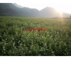 36 acres Organic Certified Land Near Madurai Sale