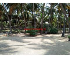5 acre well maintaned coconut farm for sale in Gudimangalam