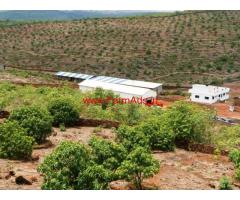 350 alphonso mango farm land + mango pulp factory in devgad