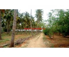8.5 Acre Coconut farm land for sale in near vathalagundu