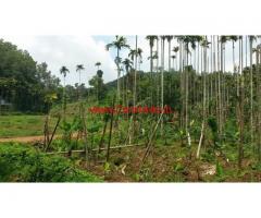 3.65 Acres Estate with House for sale at Wayanad