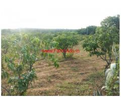 1 Acre Beautiful mango farm land sale at Shoolagiri
