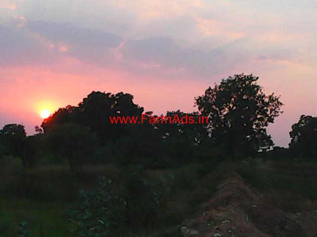 Large Agriculture Farm Land in Central Gujarat for Sale