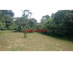 2.5 Acres Plain farm land for sale at 18 KMS from Mudigere town