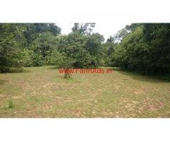 2.5 Acres Plain farm land for sale at 18 KMS from Mudigere town