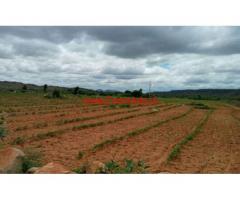 200 acres Farm Land for sale in Mudigubba - Ananthapur