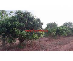 2.5 Acres Farm land for sale in Ramanagar - 60KMS from Bangalore