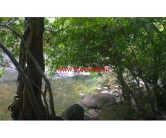 5.5 Acre River Side Farm land with House for sale near Alakode