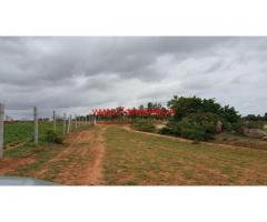 11 Acres Farm Land for lease Near Bagepalli