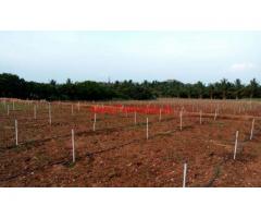 2.40 Acres Farm land for sale near Shoolagiri - Hosur