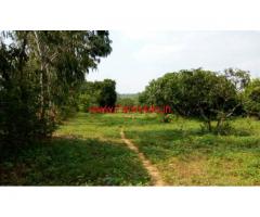 1 Acres Agriculture Farm land for sale near Shoolagiri - Hosur
