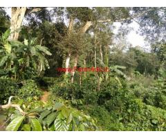 8 Acres Arabica Coffee Estate for sale in Chikmagalore