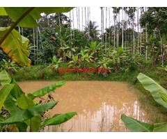 9.18 Acres Coffee Plantation for sale neat Kodlipete - Somwarpete