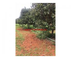 2.5 Acres Mango Farm for sale at Chintamani