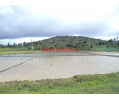 1.20 Acres Agriculture Land for sale near Kakanakote - Hunsur Road