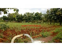 6.5 Acre agriculture land for sale in near Vathalakundu.