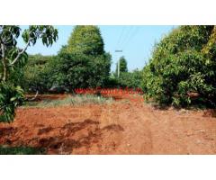2 acres beautiful farm - Agriculture land for sale near shoolagiri.