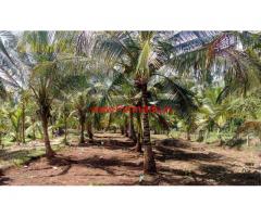 5.09 Acres Coconut Farm with Farm House for sale at Chittur - Pallakad