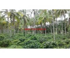 35 Acres Coffee Estate for sale at Periyapatna