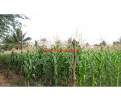 3 Acers of cultivated agriculture land near Chamrajanagar