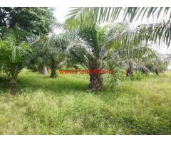 15 Acre Agriculture Land for sale in Shimoga