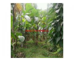 6.15 acre Scenic Farm Land for sale at Kasargod.