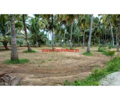13 Acres Coconut Farm land for sale near shoolagiri.