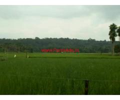 6 Acres Farm Land for sale at Panamaram - Wayanad