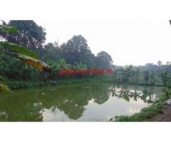 1.42 Acres Cattle and Fish Farm for sale at Kumbanad - Pathanamthitta