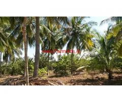 6.12 Acres Farm land for sale 5 KMS from Nanjangud