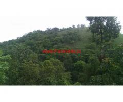 10 Cent farm land for sale in Vythiri. 1 kMtr From NH