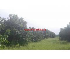 120 Acres Mango Garden for sale. 10 KM from Punganur, Chittoor