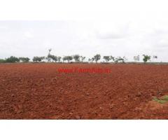 6.5 Acres agriculture Farm for sale at Sira Tumkur