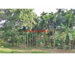 2 acre agricultural land for sale at Kumta