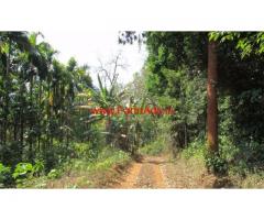 6.23 Acre Areca Farm Land for sale at Kumta