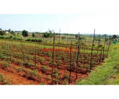 8.75 acres Agriculture - farm land sale near shoolagiri.