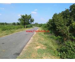 12 acres mango farm land available for sale at kodur - Kadapa