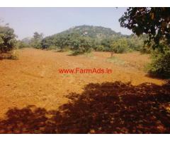 5.5 acre agriculture land for sale near channapatna