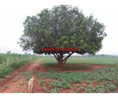 9'Acre Agriculture Land for sale