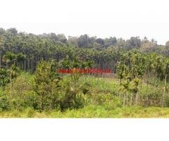 4.75 Acre Coffee Estate with House for sale at kalpetta - Wayanad