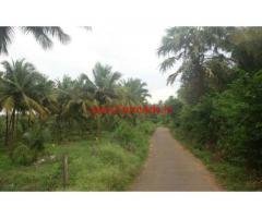 8 Acres Coconut Farm for sale at Chittur - Palakkad