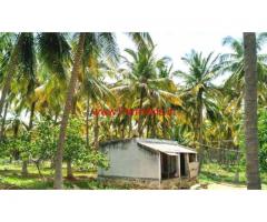 4.5 Acre Coconut Farm Land For Sale in Near Athur, Dindigul(dt).