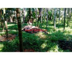 3.5 Acres Farm land with House for sale at Nellyadi - Puttur