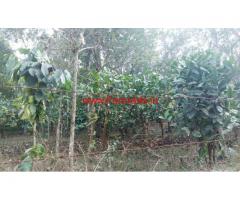 2.5 acre Farm Land for sale at Thrissery - Wayanad