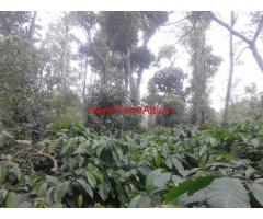 25 Gunta coffee plantation for sale in mudigere