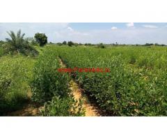 10 Acres Agricultural Land with Water for Sale at Makhtal