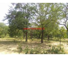 16 Acres Tamarind Tree Farm Land for sale at Lepakshi