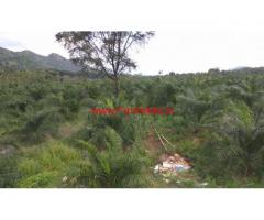 32 acars palm oil agri land with farm house for sale at Bobbili Mandal