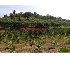 10 Acres Areca and Rubber Estate for sale at Punjalkatte - Belthangady
